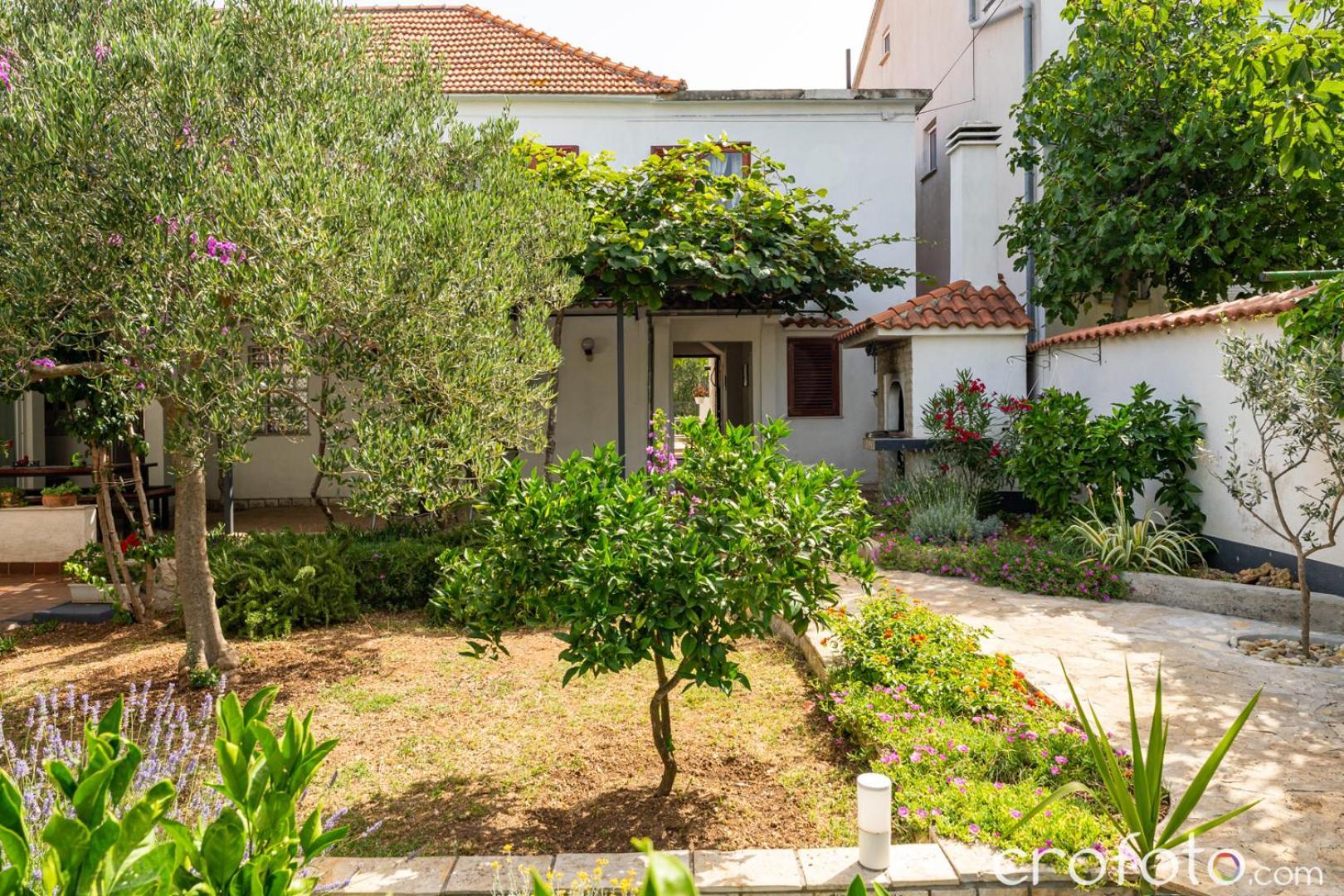 Apartment Vinka *