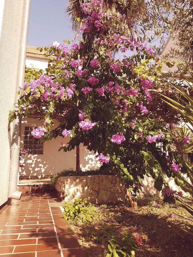 Vinka Apartment Biograd Na Moru
